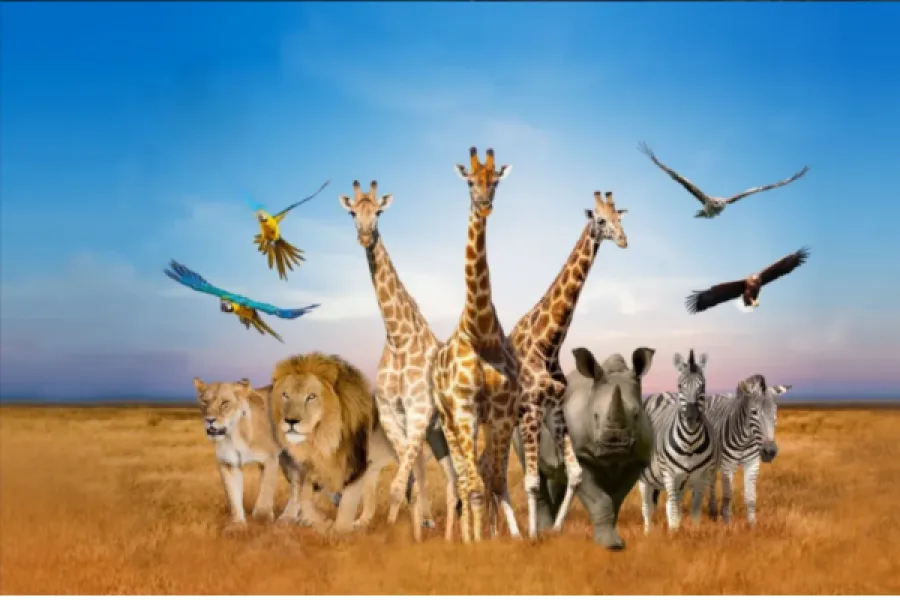 Safari World zwiedzaj z AsiaTrip.pl