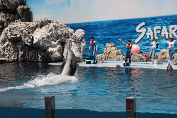 Safari World zwiedzaj z AsiaTrip.pl