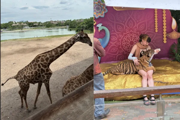 Safari World zwiedzaj z AsiaTrip.pl