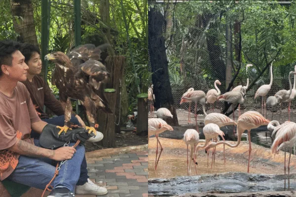 Safari World zwiedzaj z AsiaTrip.pl