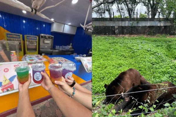 Safari World zwiedzaj z AsiaTrip.pl