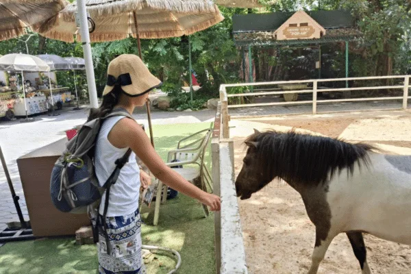 Safari World zwiedzaj z AsiaTrip.pl