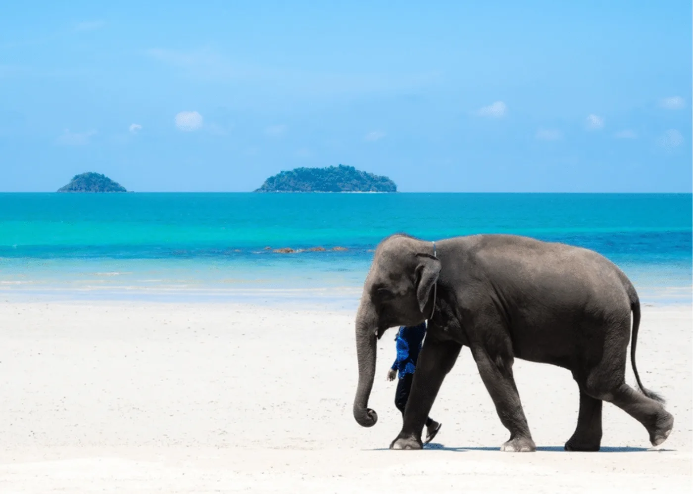 Królewska Ekspedycja Wybrzeża: 12 Dni – 2 Wyspy i Wodospady | AsiaTrip.pl