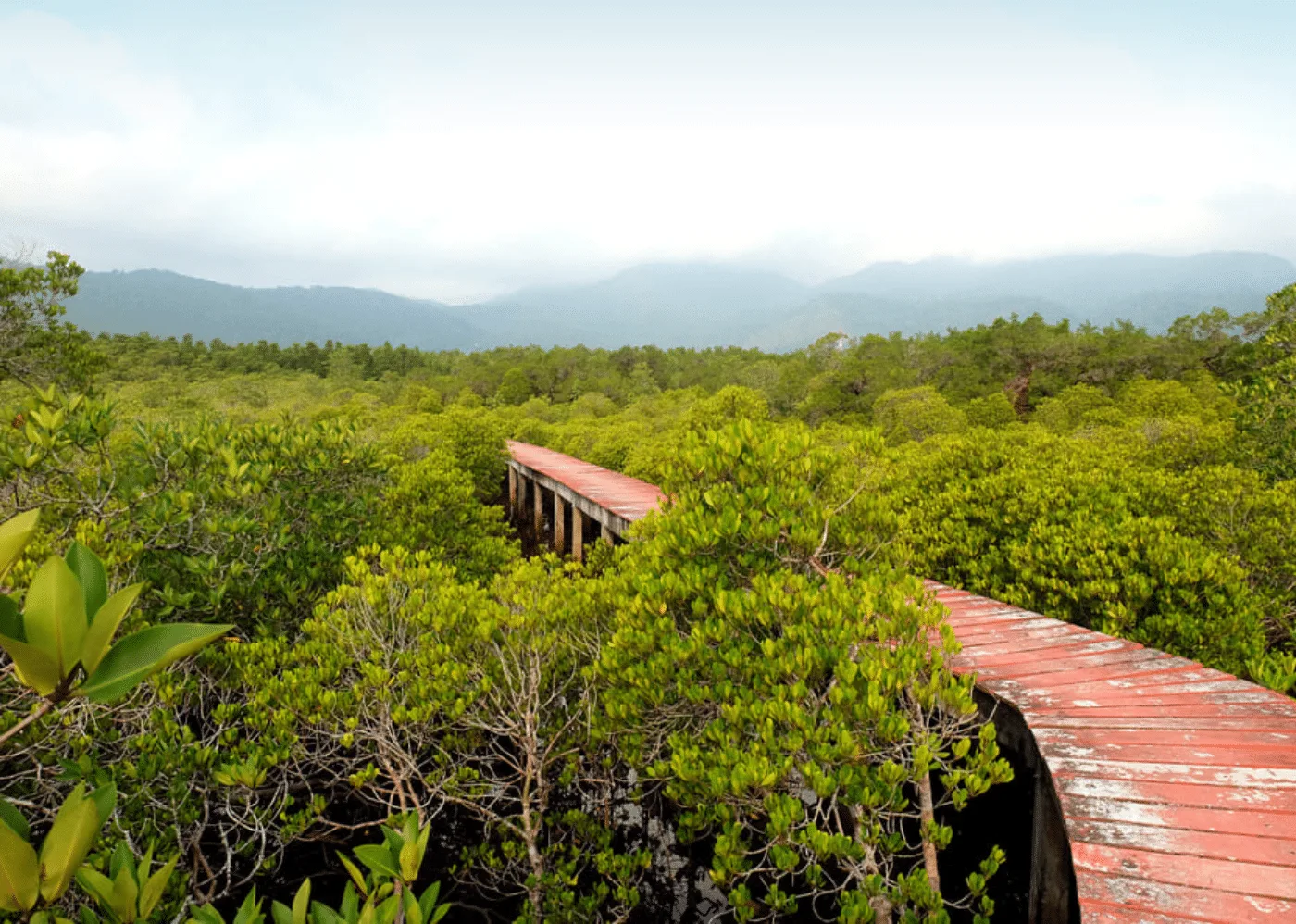 Królewska Ekspedycja Wybrzeża: 12 Dni – 2 Wyspy i Wodospady | AsiaTrip.pl