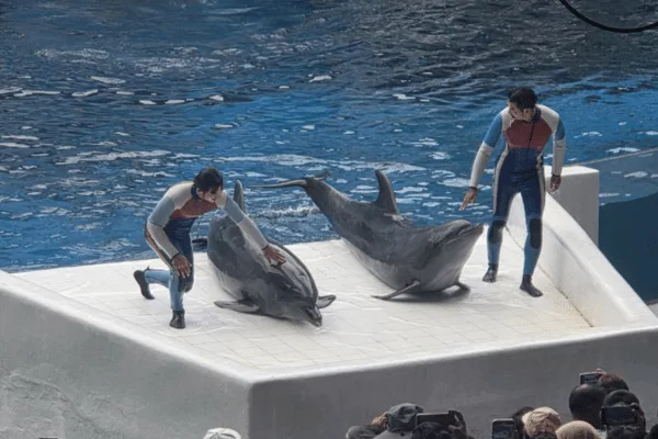 Safari World zwiedzaj z AsiaTrip.pl