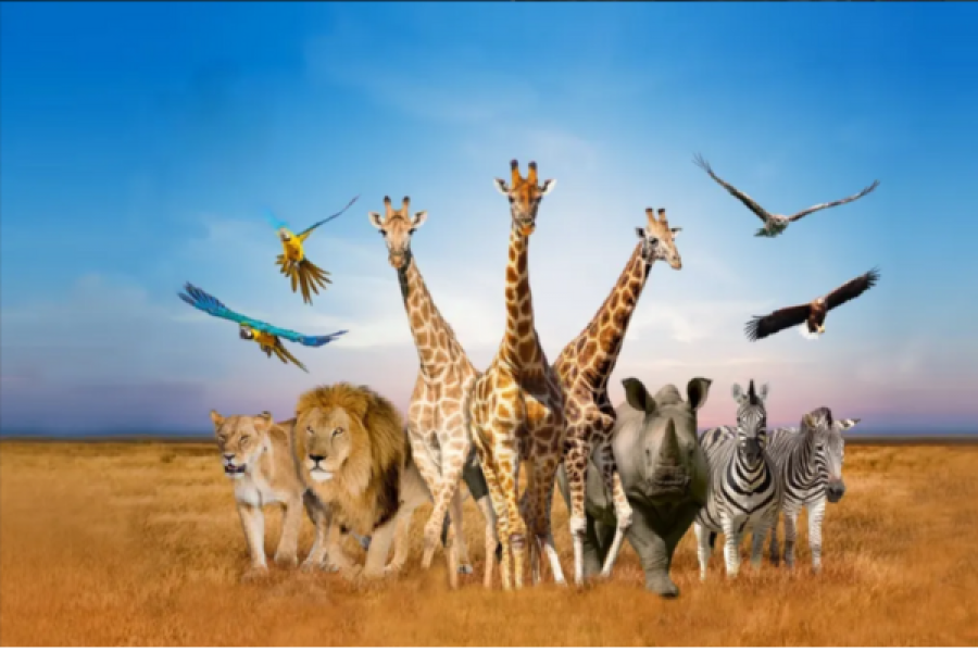 Safari World zwiedzaj z AsiaTrip.pl