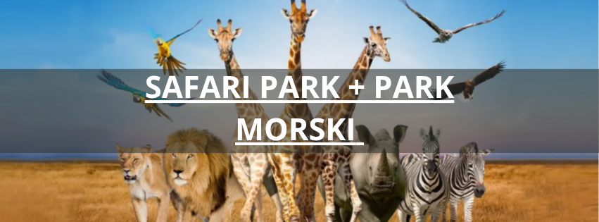 Safari Park + Park Morski + Bufet międzynarodowy + Karmienie żyraf