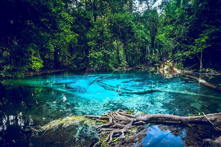 Emerald Pool Krabi atrakcje