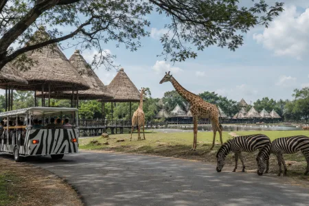 Safari World Bangkok: A Complete Guide to the Park