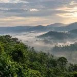Misty tropical forest hills in Khao Yai National Park at sunrise