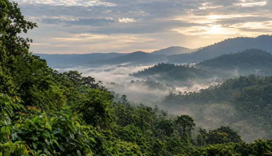 Misty tropical forest hills in Khao Yai National Park at sunrise